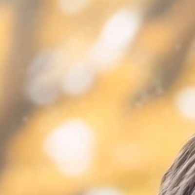 ssss44__44's profile picture. 인형합니다(-.-)Zzz・・・・