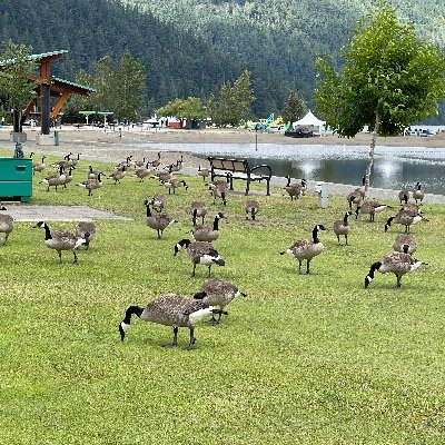 Jejunekid's profile picture. Ayyo