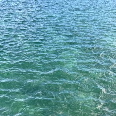 8yn_lef's profile picture. こんばんみ