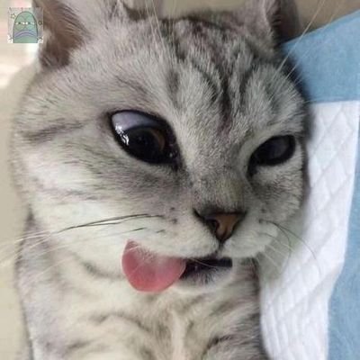 yupibolisius's profile picture. not available yet