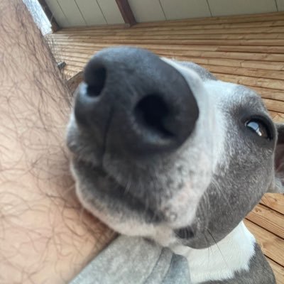 tlpfloyd66's profile picture.