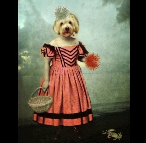 afoolsgarden's profile picture. 