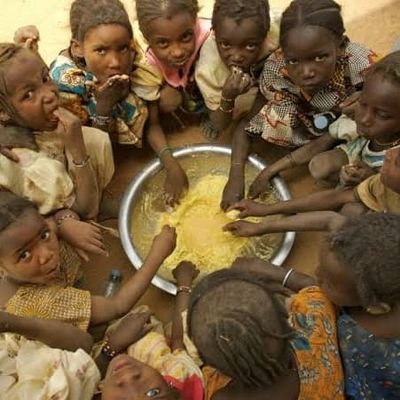 Donate_4Africa's profile picture. For Afrika Social Enterprise represents phase two of our Theory of Change, advancing the ongoing journey towards thriving African communities. Please Donate 💵