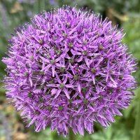 Lyn Edmonds (@edmondslyn) 's Twitter Profile Photo Lyn Edmonds (@edmondslyn) 's Twitter Profile Photo