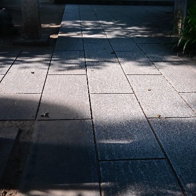 sanotune's profile picture. 写真撮ってます