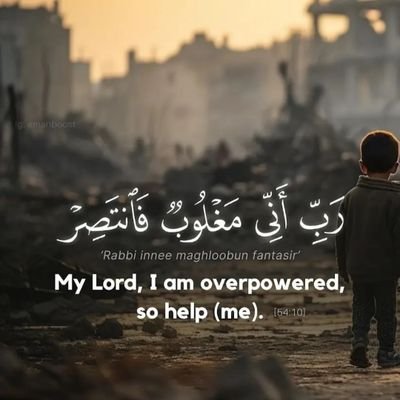 ShariqMahmood14's profile picture. Ahqaqe Haq, Ibtaale Batil.