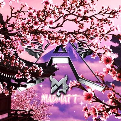 Above MadMatt Profile
