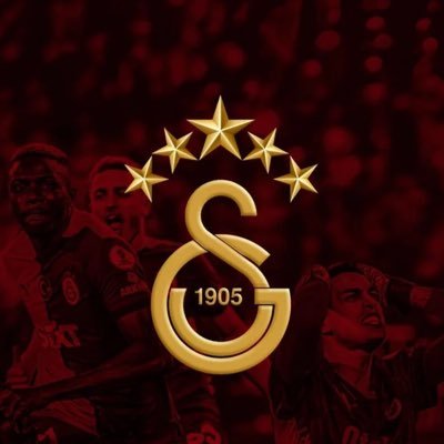 bolotilias's profile picture. | CryptoNerd | 🔴🟠Galatasaray fan | wanderlust