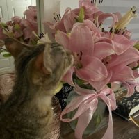 غديـر (@ghadeer2mk) Twitter profile photo