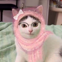 catnur afiyetle umreye gitsin amin (@nurtanesidenir) 's Twitter Profile Photo catnur afiyetle umreye gitsin amin (@nurtanesidenir) 's Twitter Profile Photo