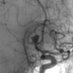 Munibe Busra Erdem (@erdem_neuro) Twitter profile photo Munibe Busra Erdem (@erdem_neuro) Twitter profile photo