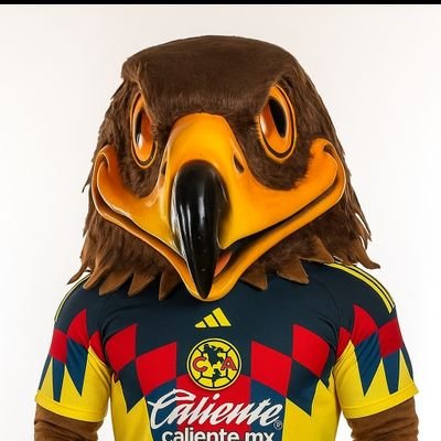 americanista 🦅💛💙⚽ hasta la muerte
🏙️ le has fallado a la ciudad 🏙️
Mi templo : el estadio Azteca
Mi religión : club América
Mi Dios : cuauhtémoc blanco