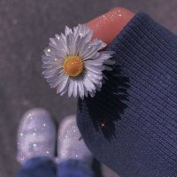 Julia (@iblervi0942) 's Twitter Profile