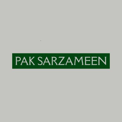 PSarzameeninfo's profile picture. Insights rooted in faith, unity, and national resilience. A voice for Kashmir, stability, and constructive ties within the Muslim world.