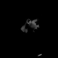 Abdulsalam (@abdsha25) 's Twitter Profile Photo