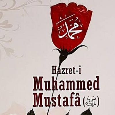 VatanseverKafk1's profile picture. Arkamızdan Allah razı olsun desinler o bize yeter.