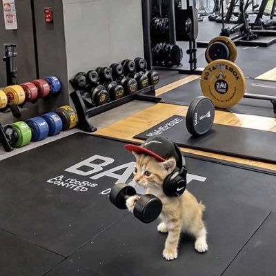 upcoming CEO