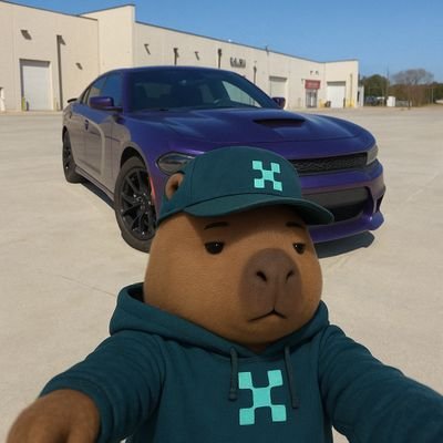 faheemnawaaazz's profile picture. Crypto degen | Web3 explorer 🌐 | Talking Kaito, tracking alpha | Memes, markets, and madness — it’s all
I follow those, who followed me.
Kaito yapper 
@KaitoAI