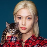 ROCO (@roco_skz_915) 's Twitter Profile Photo ROCO (@roco_skz_915) 's Twitter Profile Photo