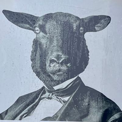 TimGrandinetti's profile picture. 