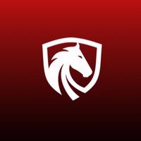 Dunkles Pferd (@dpesportsgg) 's Twitter Profile Photo
