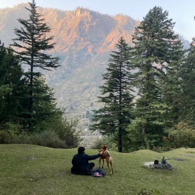 wandering_shek's profile picture. Web3 Developer | Building dApps | Ex Senior Software Engineer @Coinswitch | Ex @bidgely | IITR