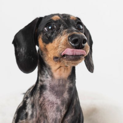 ReynosoPatyy's profile picture. Incluso las peores noticias son un alivio cuando no pasan de ser una confirmación de algo que ya sabíamos sin querer saberlo. Carlos Ruiz Zafón