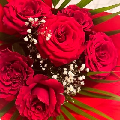 kamilageopolaw's profile picture. 