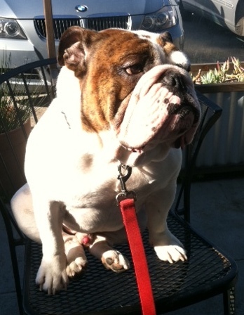 MikeandWilson's profile picture. Hotter than a June Bride in a Down Dress...