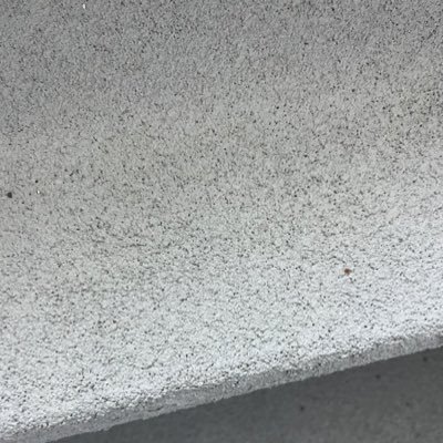 blabla484738834's profile picture. 