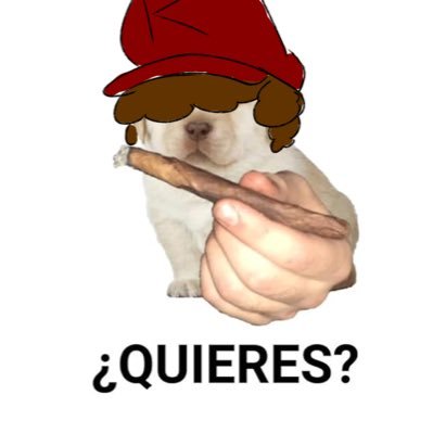 GuyWooly's profile picture. Artist | 19 | 🇵🇷 | Mario Enjoyer