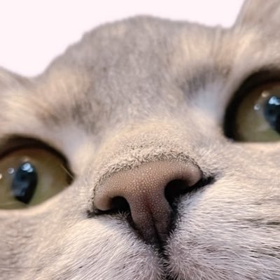 ik12541's profile picture. 