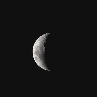 DKWolf4's profile picture. 