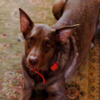 winston hardy (@ridgeway137) 's Twitter Profile