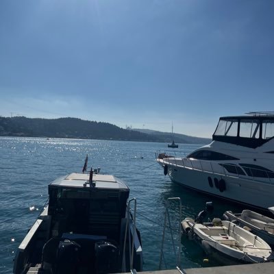 selbi_ny's profile picture. ℬ