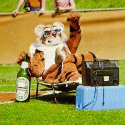 Tiger Commenter Profile
