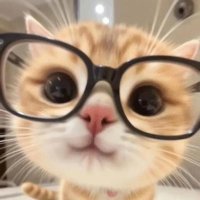 桜の花 (@c_blossoms_c) 's Twitter Profile