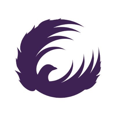 Official Twitter account for @SuperNetball club the Queensland Firebirds