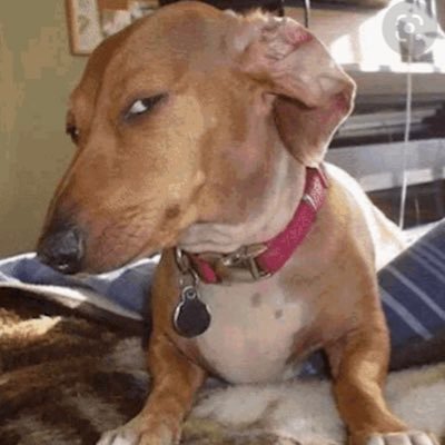 JakiPortero's profile picture. just a cool dude