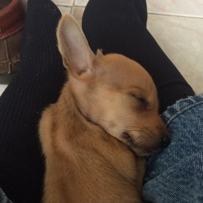 stanyservicios's profile picture. contenido para mayores de 18 años, nos gusta ver y ser visto, mi esposa le gustar alquilarme