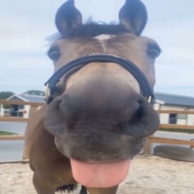 theo jesterjamz 🍉さんのプロフィール画像
