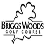 Briggs Woods Golf (@briggsgolf) Twitter profile photo
