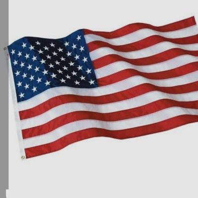 havey_mushman's profile picture. blah,blah, blah