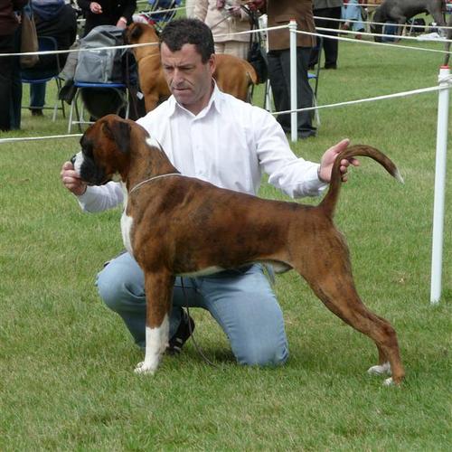 BishBashBoss's profile picture. 