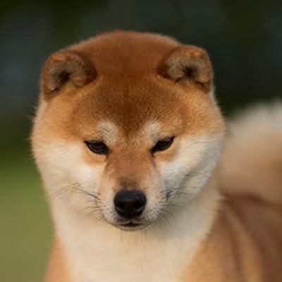 Panacas3's profile picture. 