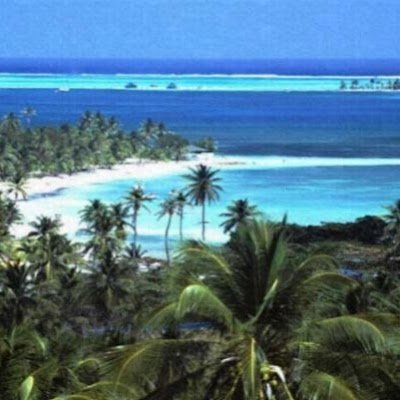 cchiconBog71341's profile picture. 