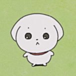 まだごはん (@oromnt) 's Twitter Profile Photo まだごはん (@oromnt) 's Twitter Profile Photo