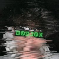 b0dj.x (@b0dj0x) 's Twitter Profile