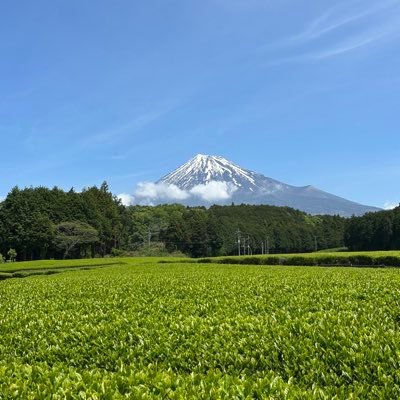 ppppl1989's profile picture. 