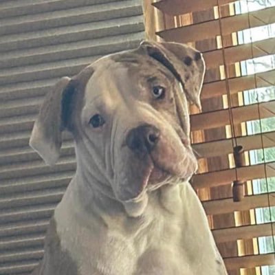 EveDaniels73's profile picture. Day by day ✌️🌼